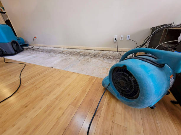 Professional Sewage Cleanup technician working in Perris, CA